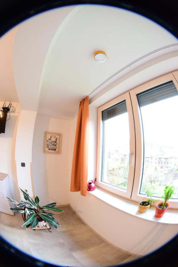 Element Bed & Breakfast Český Krumlov Dış mekan fotoğraf